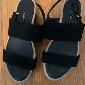 Alice and Olivia shoes